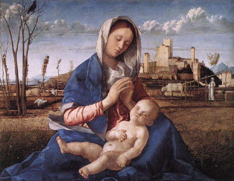 BELLINI, Giovanni Madonna of the Meadow (Madonna del prato) gh oil painting picture